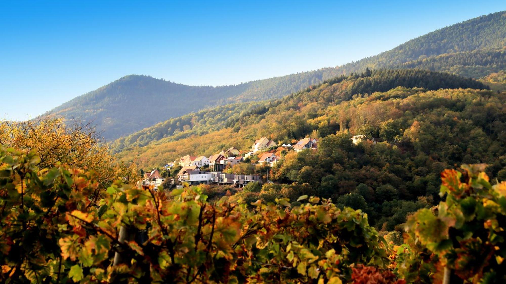 Вилла Alsace Panorama Барр Экстерьер фото